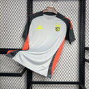 CAMISOLA DO BENFICA 24/25 CINZA TREINO